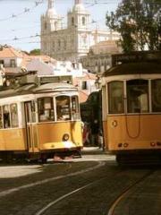 I Picked Up a Cultiv I Picked Up a Cultiv