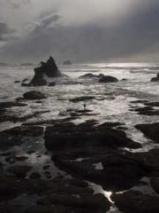 The Consort of the R The Consort of the R