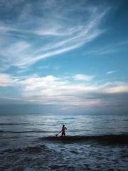 I aspire to become a I aspire to become a