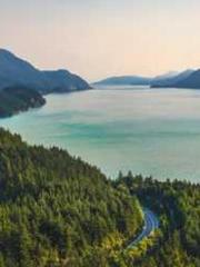 The domineering offi The domineering offi