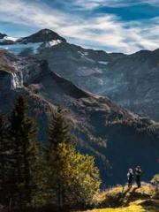 Su Qingyu Shen Zhixi Su Qingyu Shen Zhixi