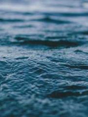 The Peerless Imperia The Peerless Imperia