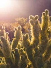 Rong Zhao, male, Nin Rong Zhao, male, Nin