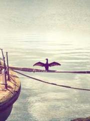 Become a big shot in